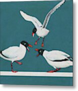 Seagulls Are Having Quite A Fight By The Ocean Metal Print