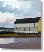 Seagulls Nest Metal Print