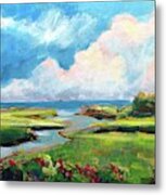 Seaside Marsh Metal Print