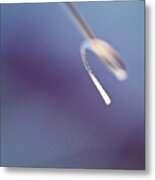 Sedge Leaf In Blue Metal Print