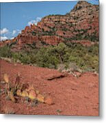 Sedona Red Rock And Cacti Metal Print