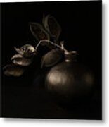 Seed Pods, Their Echoes Metal Print