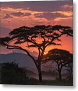 Serengeti Sunset Metal Print
