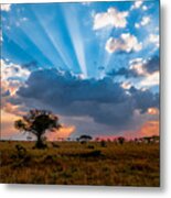 Serengeti Sunset Metal Print