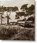 Seven Pines Metal Print