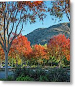 Shades Of Fall At The Metrolink Metal Print