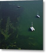 Shallow Seagrass Beds Biscayne Bay Metal Print