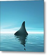 Shark Waiting In Th Calm Blue Sea Metal Print