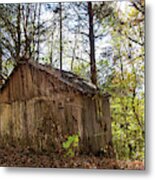 Shed In Tennessee Metal Print