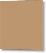 Sherwin Williams Trending Colors Of 2019 Caramelized Light Brown Sw 9186 Solid Color Metal Print