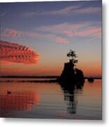 Siletz Bay Sunset With Gull Metal Print