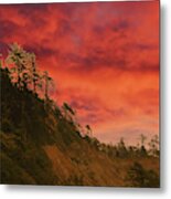 Silhouette Of Conifer Against  Seacoast Metal Print