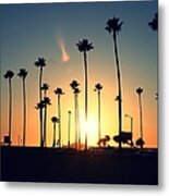 Silhouette Of Palm Trees At Sunset Metal Print