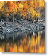 Silver And Gold Metal Print
