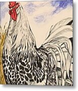 Silver Spangled Hamburg Rooster, Coloured Metal Print