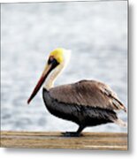 Sitting On The Dock Of The Bay Metal Print