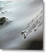 Skier Moving Down In Snow On Slope Metal Print