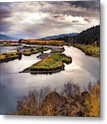 Snake River Swan Valley Metal Print