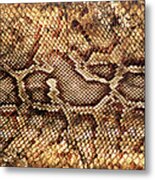 Snake Skin Metal Print