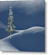 Snow Covered Tree And Mountains Color Metal Print