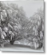 Snow-covered Trees Metal Print