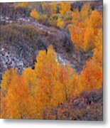 Snow Falling On Autumn Metal Print