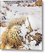 Snow On Cactus Alabama Hills Eastern Sierras California Metal Print