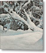 Snow Scene In The Forest Metal Print
