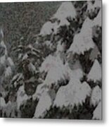 Snow Trees 21 Metal Print