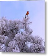 Snowy Birdy Metal Print