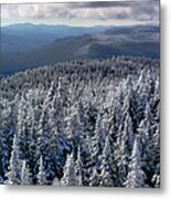 Snowy Trees Atop Blue Mountain Metal Print