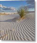 Soaptree Yucca, White Sands Nm, New Mexico Metal Print