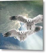 Soaring On A Ray Of Sunlight Metal Print