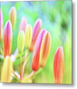 Soft And Light 25 Metal Print