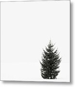 Solitary Evergreen Tree Metal Print