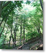 Sommer Wald - Summer Forest Metal Print