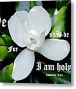 Southern Magnolia With Leviticus 11 Vs 44 Metal Print