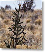 Southwest Desert Scene Metal Print