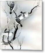 Sparrows Metal Print
