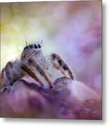 Spider On Pouring Colors Metal Print