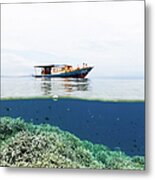 Splitshot, Staghorn Coral Reef And Dive Metal Print