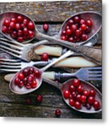 Spoons&cranberry Metal Print