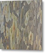 Spotted Gum Tree Trunk, Australia Metal Print