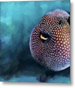 Spotted Puffer All Blown Up Metal Print