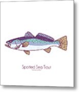 Spotted Sea Trout Metal Print