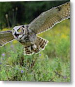 Spread Your Wings And Fly Metal Print