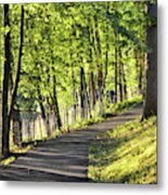 Spring Awakening Metal Print