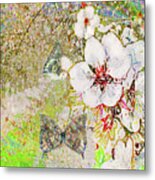 Spring Blossoms And Butterflies Metal Print