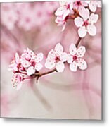 Spring Blossoms Metal Print