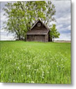 Spring In The Country Metal Print